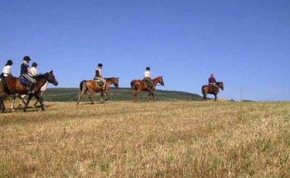  Guiados por el experto 